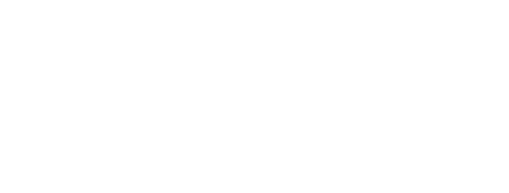adamo wireless